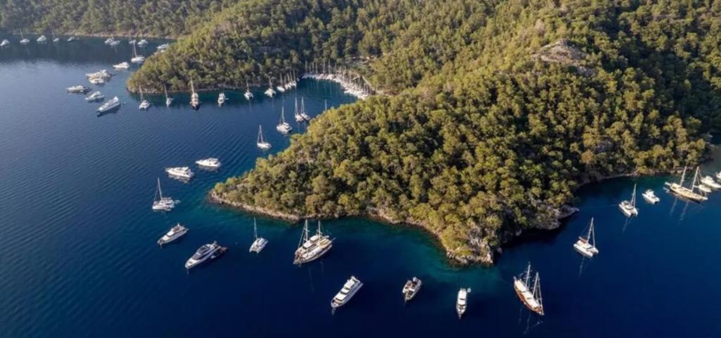 Στην τεχνητή νοημοσύνη επενδύουν οι Τούρκοι ξενοδόχοι Στην τεχνητή νοημοσύνη επενδύουν οι Τούρκοι ξενοδόχοι